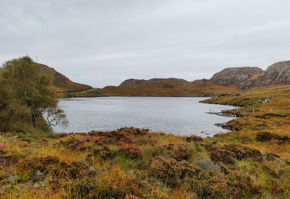 Scottish loch trout fishing at Scourie