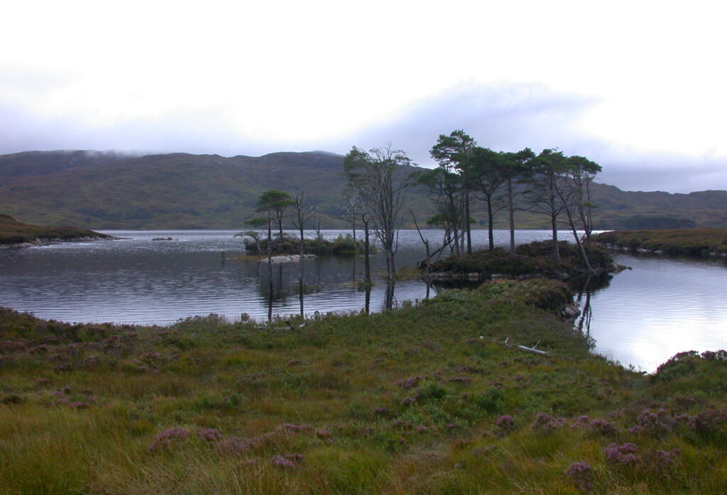 Loch Assynt Trout Fishing Lochinver