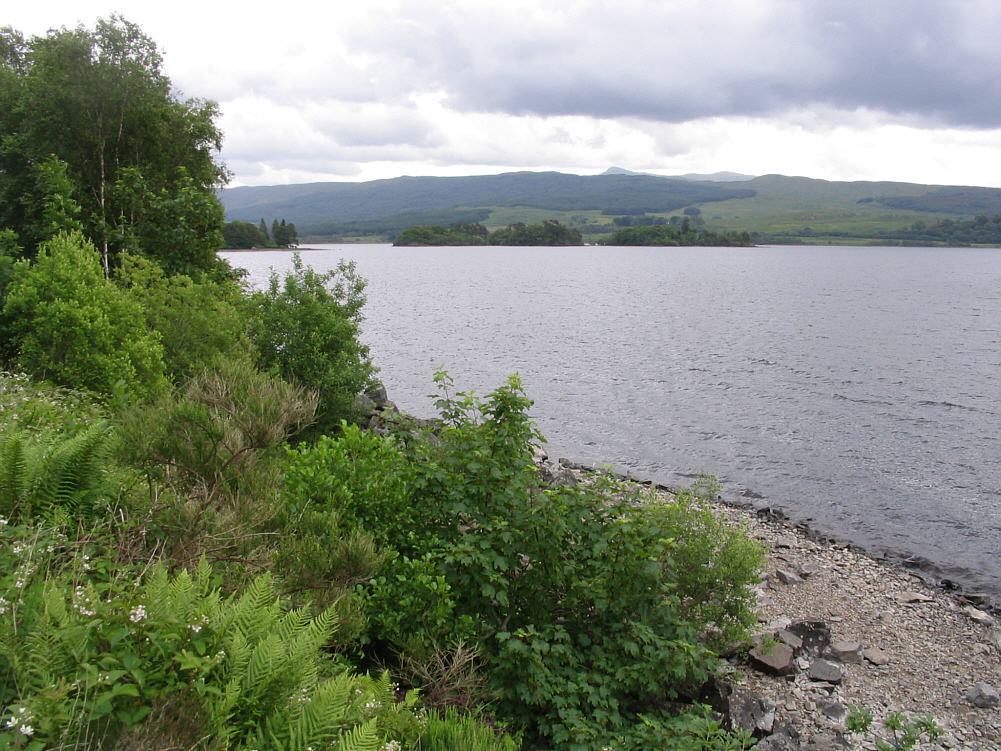 Loch Awe Trout Fishing