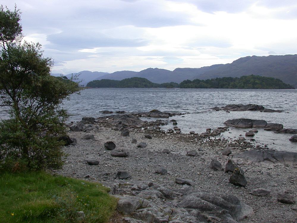 Mallaig trout fishing